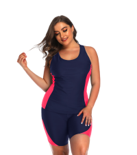 Plus Size Tankini