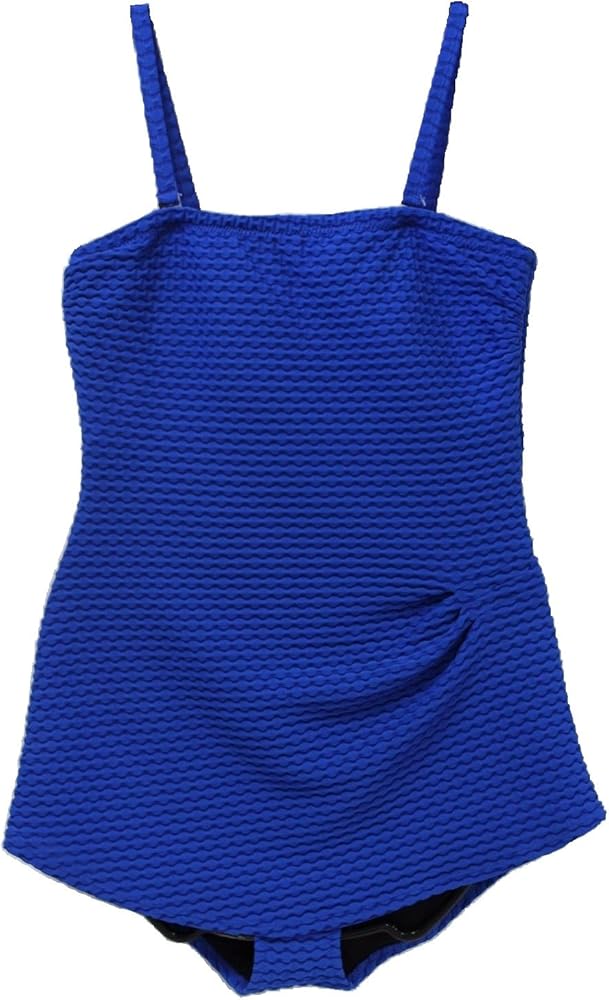 Gottex Essential Women's Tankini Swim Suit (12, Blue)